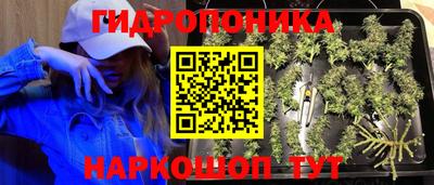 тгк Кунгур