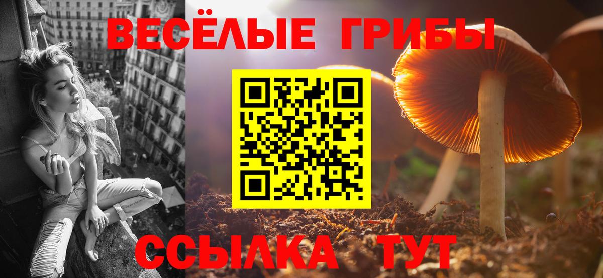 Усть-Илимск  Галлюциногенные грибы Magic Shrooms  Вход с VPN 