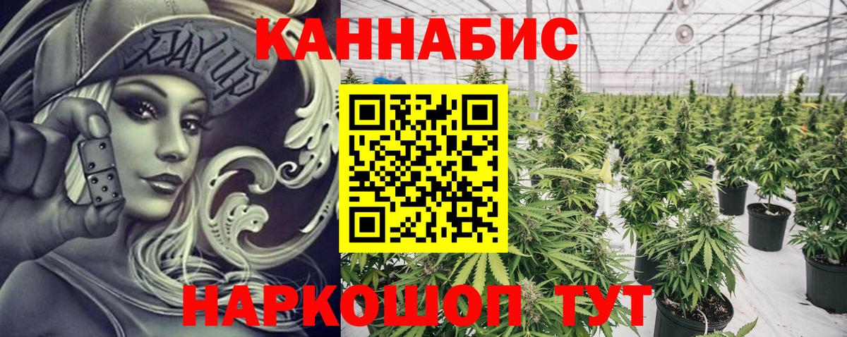 Конопля сатива  Конопля AK-47  Конопля планчик  Усть-Илимск  Вход с VPN 